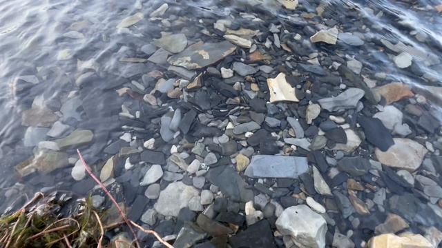 Озеро Абрау Краснодарский край Абрау-Дюрсо 🐟 говорят там много Щуки