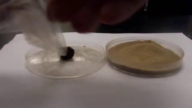 Separation: Iron from Salt & Sand Mixture