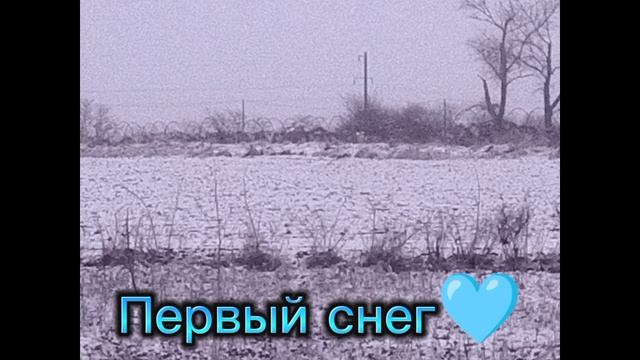 Спасибо за