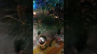 новый год