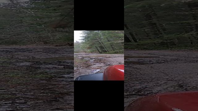 [OFFroad] Tank 300