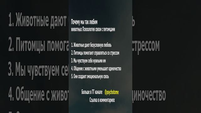 Почему мы так любим животных Психология связи с питомцами #животные #любовь #психология