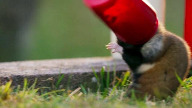 BBC Семь Миров, Одна Планета 5. Европа