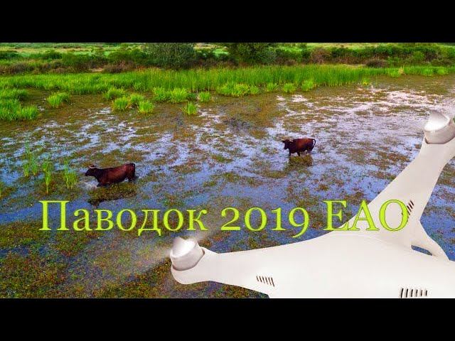 Паводок на Амуре, левый берег, Хабаровск 2019.
