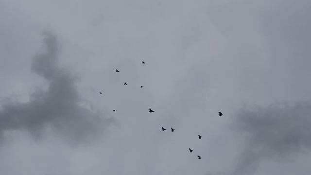 продолжение 9.12.2018