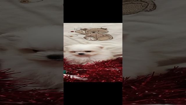 1000009320.mp4