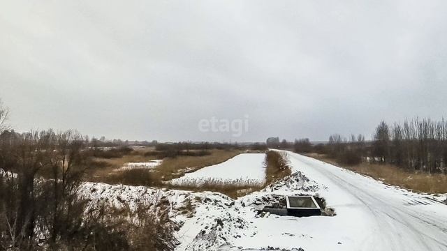 3968372