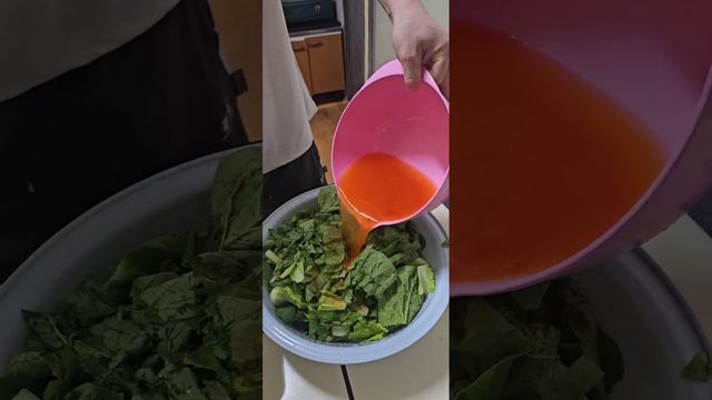 Корейский салат за 5 минут #mukbang