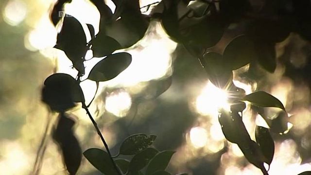 BBC. История математики 4. За.пределы.бесконечности.2008
