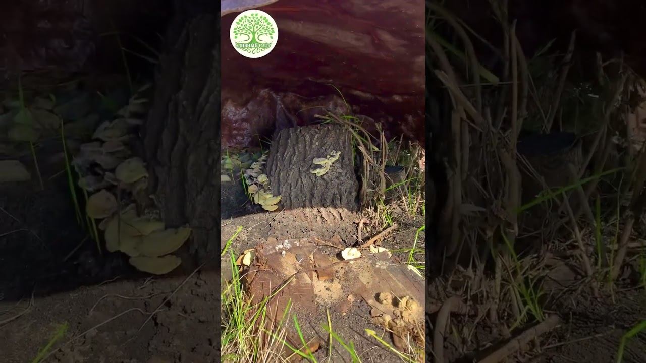 Искусственный камень. Можно прикрыть колодец.