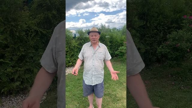 СНТ Урожай 2024 год.