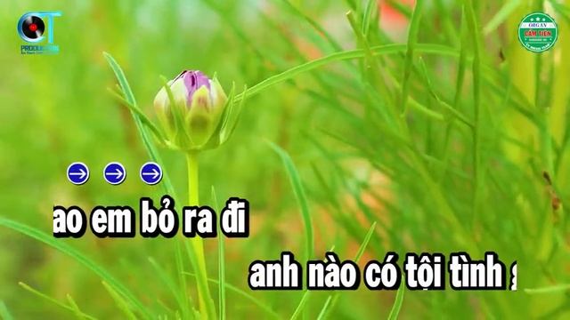 Karaoke Tội Tình Tone Nam