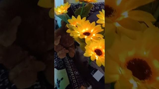 Отзыв №2 ⭐⭐⭐⭐⭐ - Светильник на солнечной батарее Подсолнух  солнечный светильник  2 шт. в комплекте