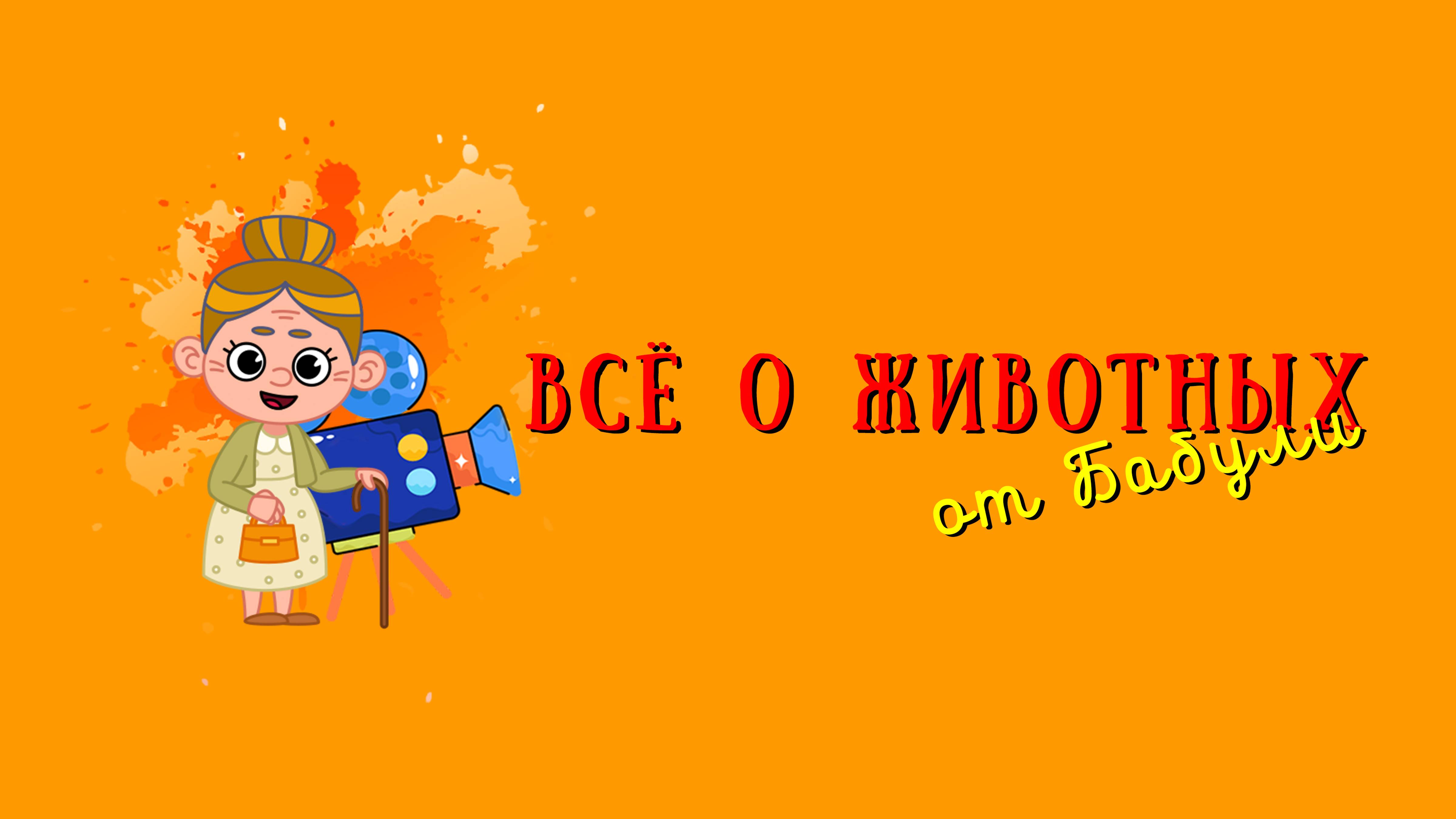 Всё о животных для детей и их родителей. Прогулка по ранчо "Авенсис" под Санкт-Петербургом