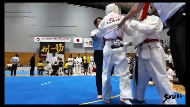 Sabaki Challenge 2024 Japan. Автор видео ( Enshin Karate HQ )