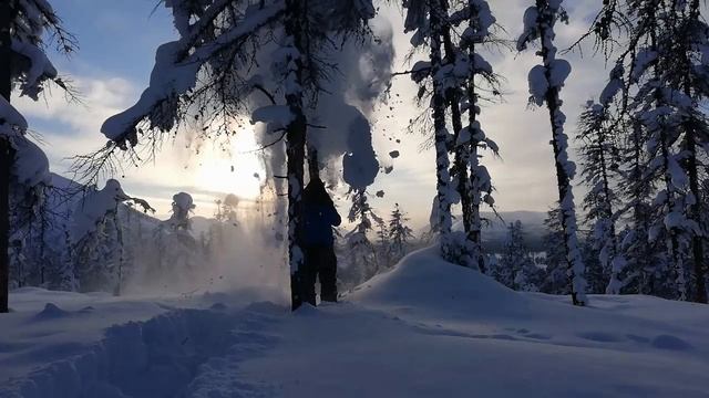 Снежные шапки на деревьях