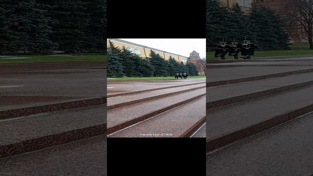 VID20241206105714.mp4
