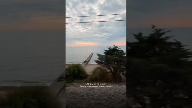 Зима в Сочи🌅Море Сочи🌊