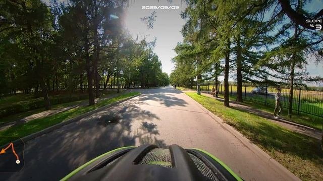 Лиственничная аллея