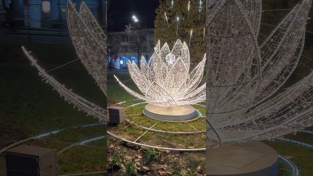 Галицкий украсил центр Краснодара. Новогодняя инсталляция