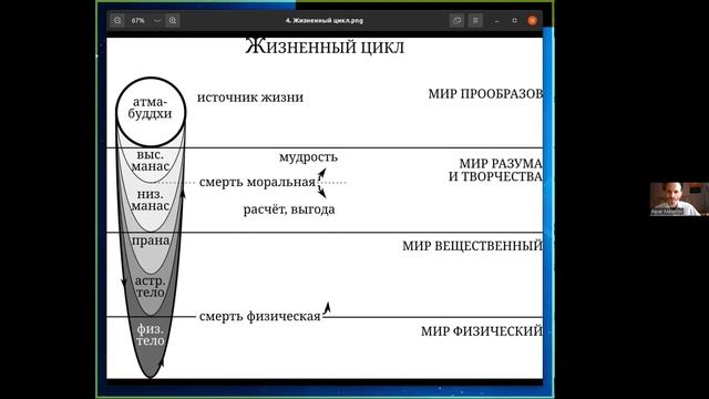 ЭЗОТЕРИЧЕСКОЕ ВЕГЕТАРИАНСТВО. Павел Малахов. 3 декабря 2022 г. Теософия.