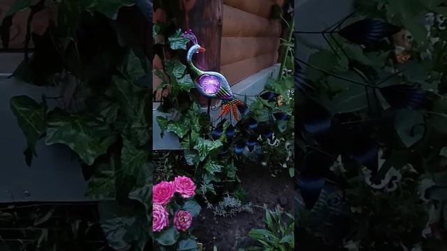 Отзыв №5 ⭐⭐⭐⭐⭐ - Ландшафтный светильник