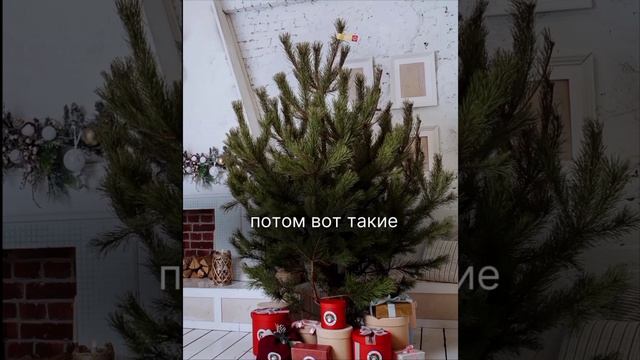 1733453924720