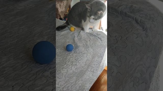1000061618.mp4