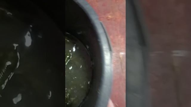 как вы относитесь к раком?