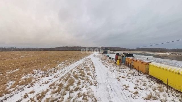 3902599