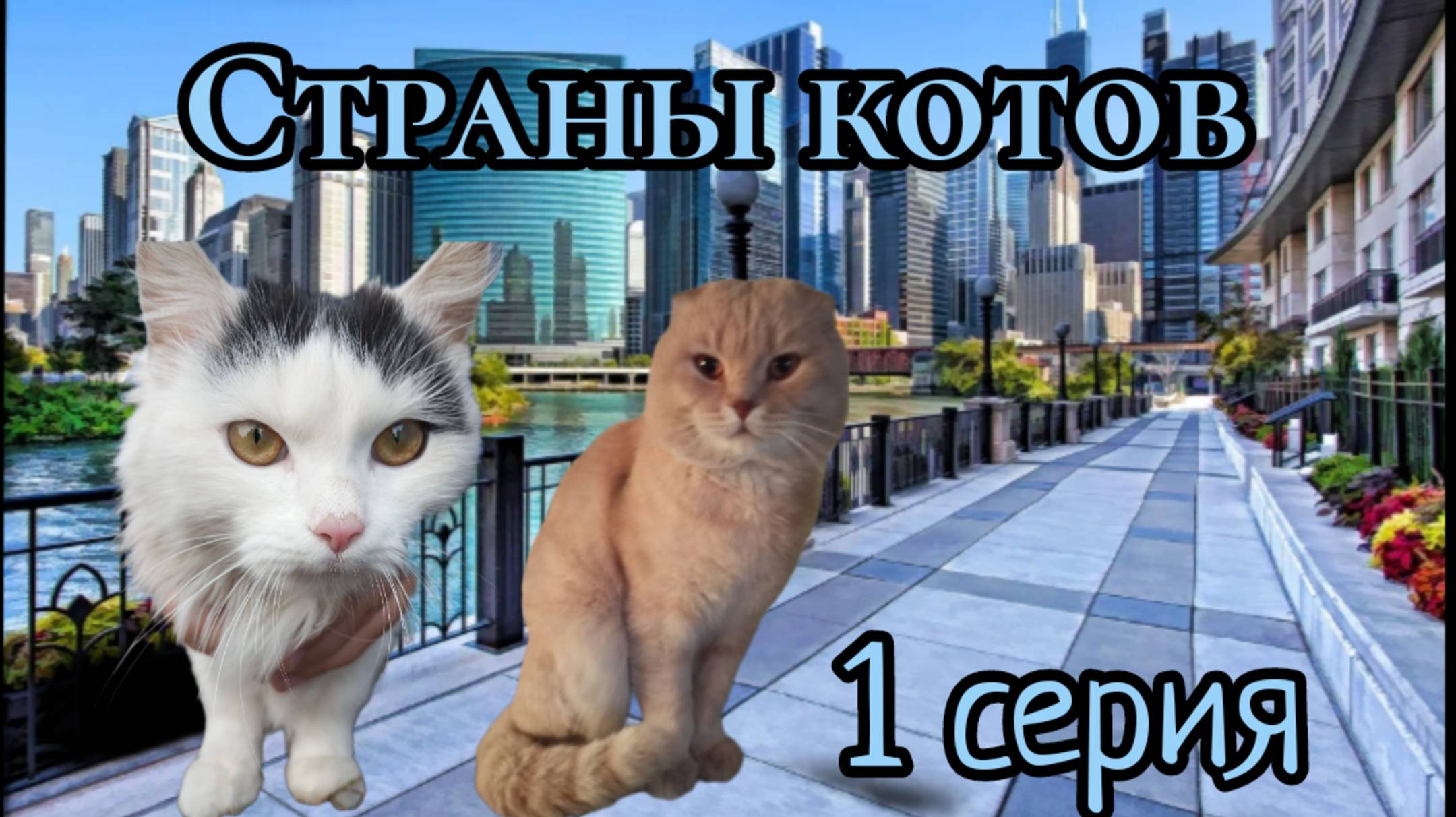 Страны котов 1 серия "начало"
