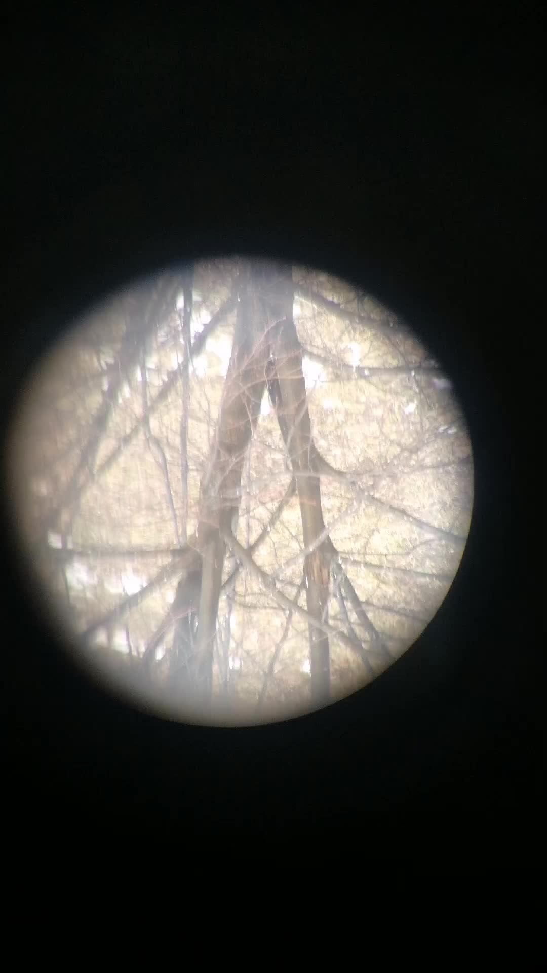 Кормушка для птиц