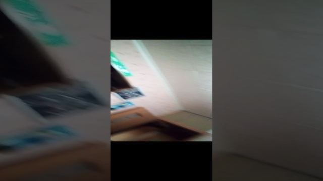 VID_20241206_204702.3gp