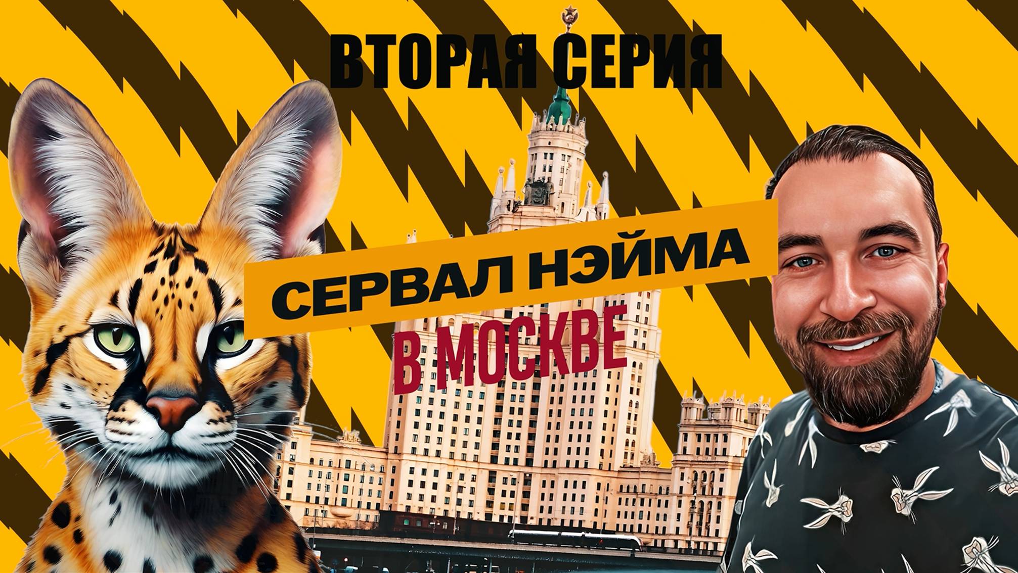 Жизнь сервала в квартире. Серия 2