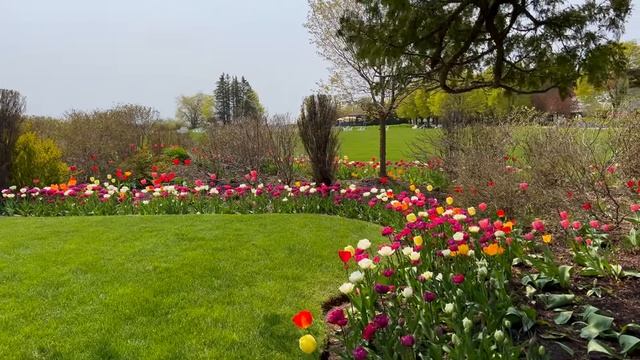 Хип-хоп Ритмы Lofi и Цветы Для отдыха и учебы | Майские сады и Весенние Цветы На острове Макино