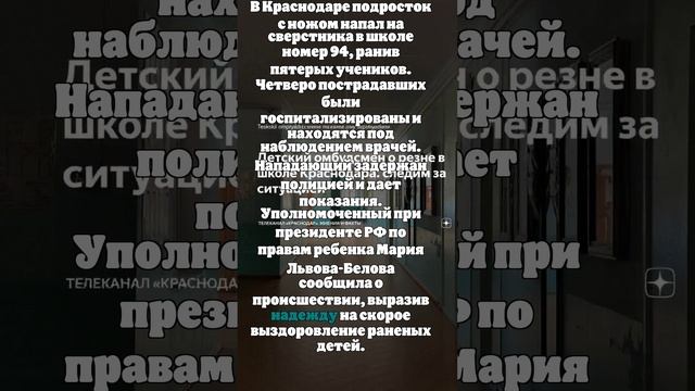 Львова-Белова: 4 ребёнка госпитализированы после конфликта в краснодарской школе