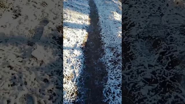 Случайно снятое видео ниочём