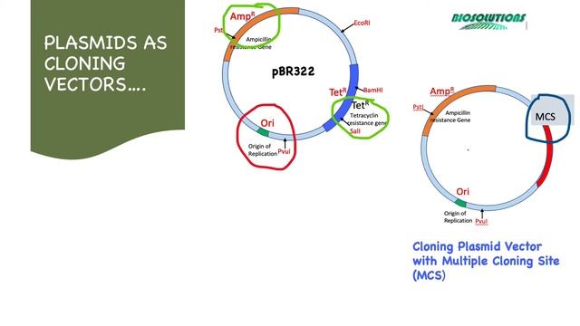 सीखिए Plasmids व उनकी Restriction mapping के बारे में - उदाहरणो व अभ्यास प्रश्नो के साथ।जुलाई 2021