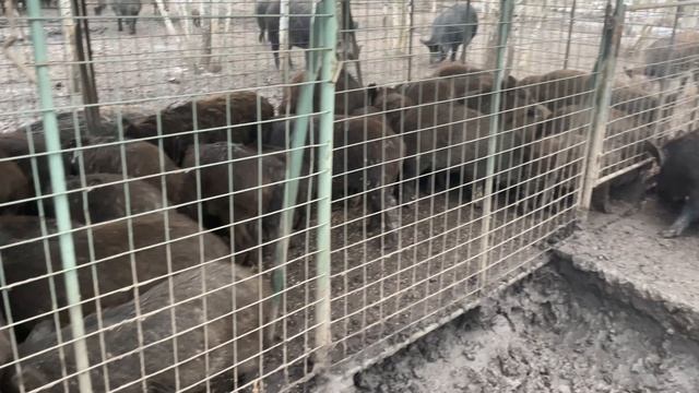 06-12-2024 работаем