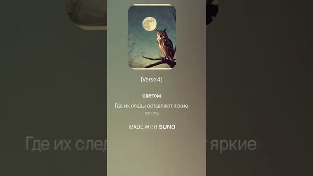 Лунная сова и солнечный кот 2