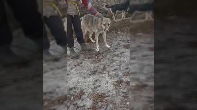 КАК ДОСТУЧАТЬСЯ ДО ЛЮДЕЙ, ЧТОБЫ ОНИ УВИДЕЛИ МАРКА?!