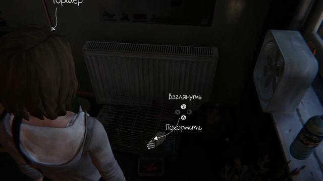 Life is strange