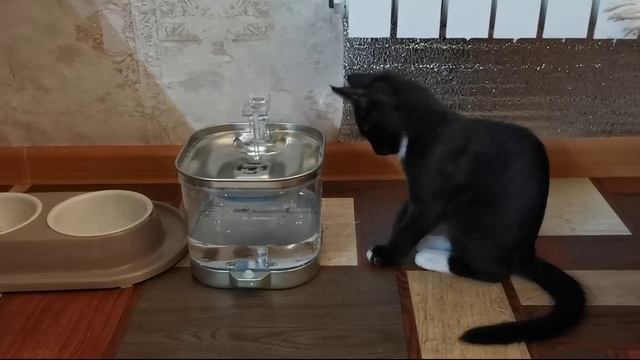 Яшка и поилка