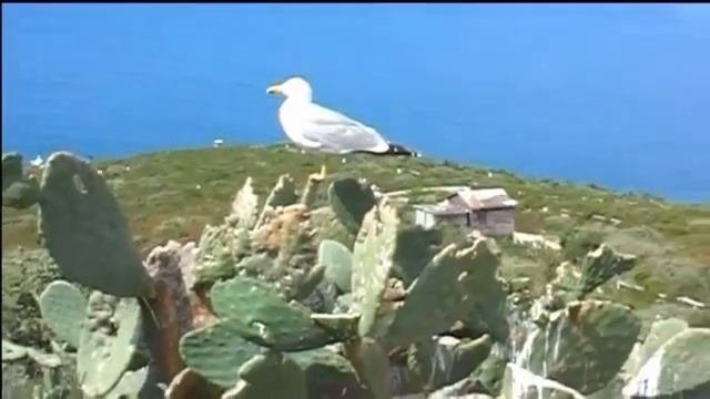 Isla de Benidorm Spanish