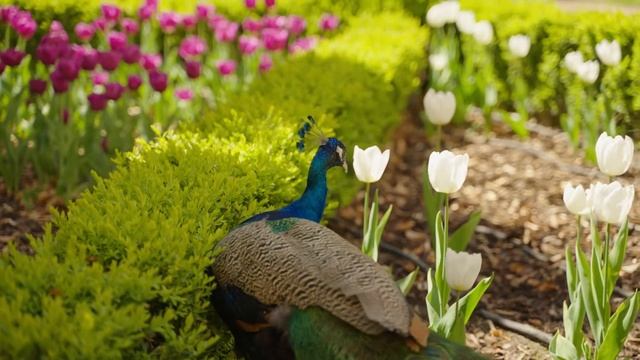 The Grand Mark Prague Hotel