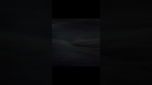 Реклама моего любимого кота
