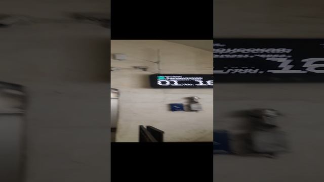 1000029694.mp4М.метро.06.12.2024г.