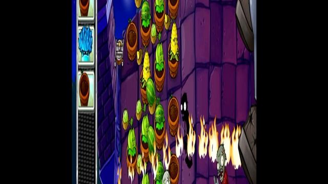 1000144392.mp4