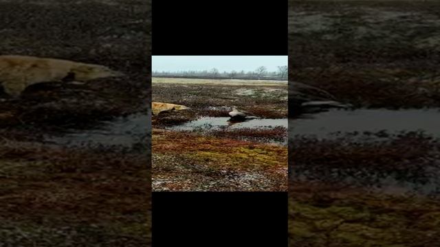 1000000357.mp4