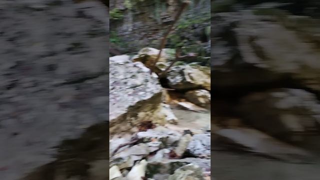 Внимание, - что это? Или кто это? Самое ценное что есть у человека!